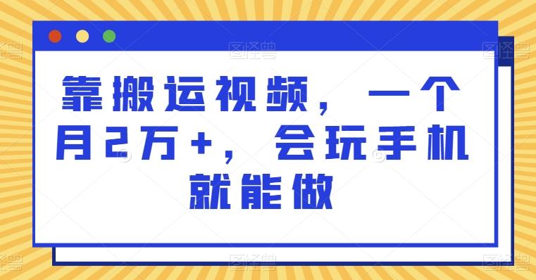 靠搬运视频，一个月2万+，会玩手机就能做-梦凌网创