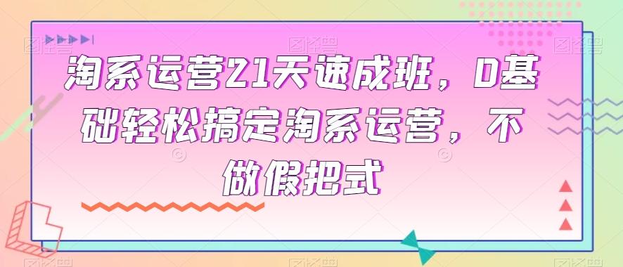 淘系运营21天速成班，0基础轻松搞定淘系运营，不做假把式-薪火元第一资源库