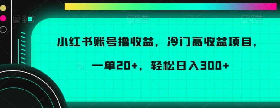 小红书账号撸收益，冷门高收益项目，一单20+，轻松日入300+【揭秘】-梦凌网创