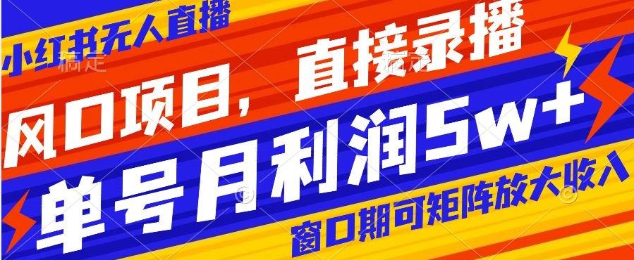 风口项目，小红书无人直播带货，直接录播，可矩阵，月入5w+【揭秘】-梦凌网创