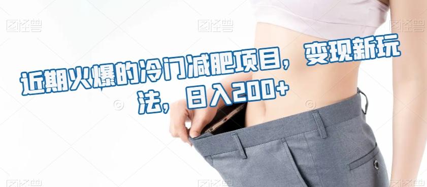 近期火爆的冷门减肥项目，变现新玩法，日入200+-梦凌网创