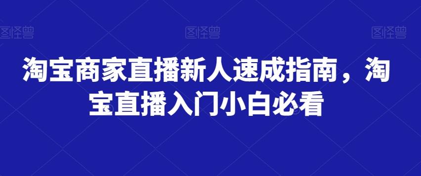 淘宝商家直播新人速成指南，淘宝直播入门小白必看-梦凌网创