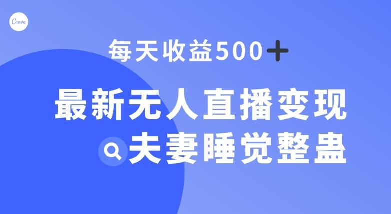 最新无人直播变现，夫妻睡觉整蛊，每天躺赚500+【揭秘】-梦凌网创