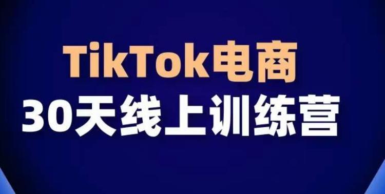 TikTok电商带货30天线上课，不可错过的全球流量洼地！-梦凌网创