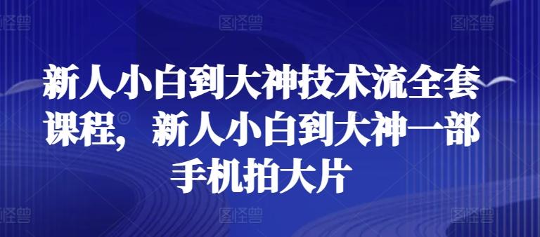 新人小白到大神技术流全套课程，新人小白到大神一部手机拍大片-梦凌网创