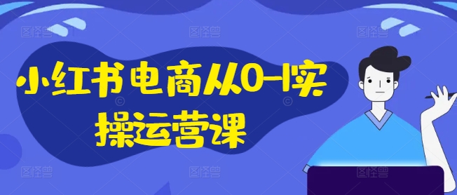 小红书电商从0-1实操运营课，小红书手机实操小红书/IP和私域课/小红书电商电脑实操板块等-梦凌网创