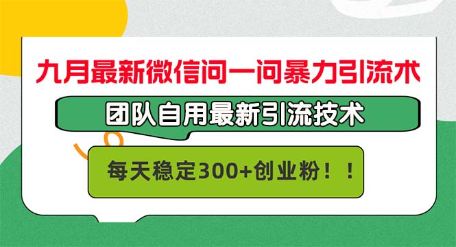 九月最新微信问一问暴力引流术，团队自用引流术，每天稳定300+创…-梦凌网创