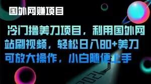 冷门撸美刀项目，利用国外网站刷视频，轻松日入80+美刀，可放大操作，小白随便上手-梦凌网创