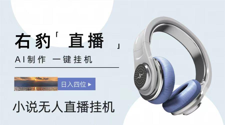 右豹小说无人直播挂机吸金项目,简单易行收益稳定, 月入1000+-薪火元第一资源库