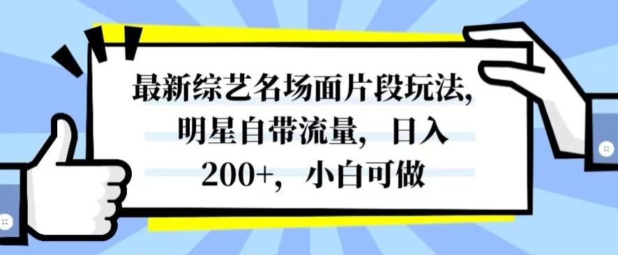 最新综艺名场面片段玩法，明星自带流量，日入200+，小白可做【揭秘】-薪火元第一资源库