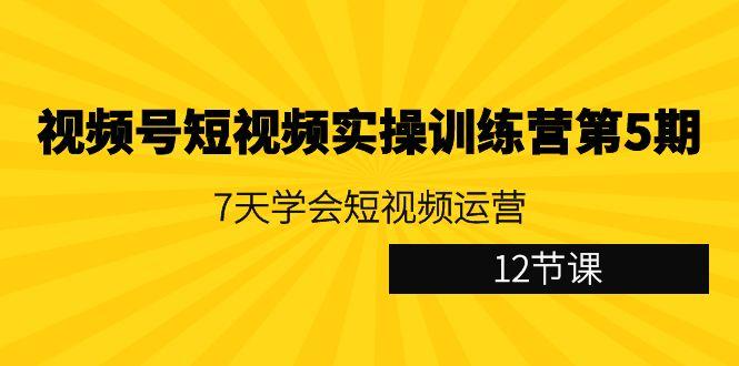 视频号短视频实操训练营第5期：7天学会短视频运营(12节课)-梦凌网创
