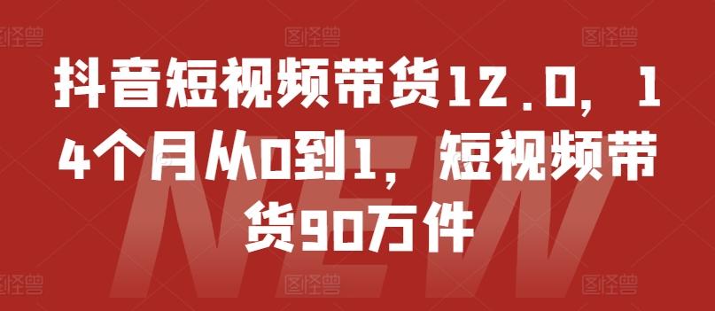 抖音短视频带货12.0，14个月从0到1，短视频带货90万件-梦凌网创