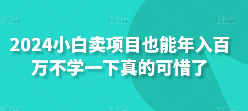 2024小白卖项目也能年入百万不学一下真的可惜了-梦凌网创