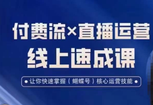 视频号付费流实操课程，付费流✖️直播运营速成课，让你快速掌握视频号核心运营技能-梦凌网创