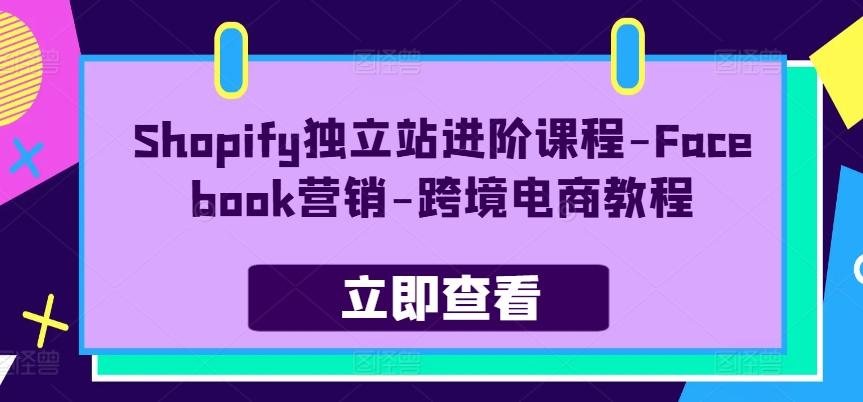 Shopify独立站进阶课程-Facebook营销-跨境电商教程-梦凌网创