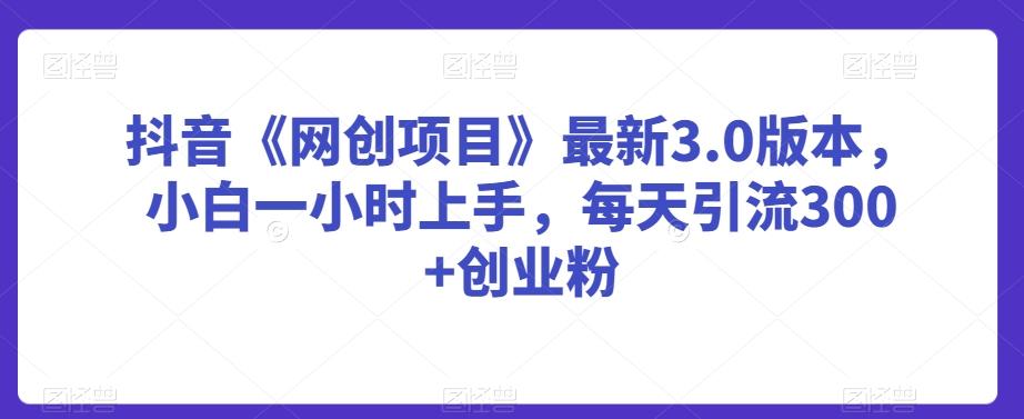 抖音《网创项目》最新3.0版本，小白一小时上手，每天引流300+创业粉【揭秘】-梦凌网创