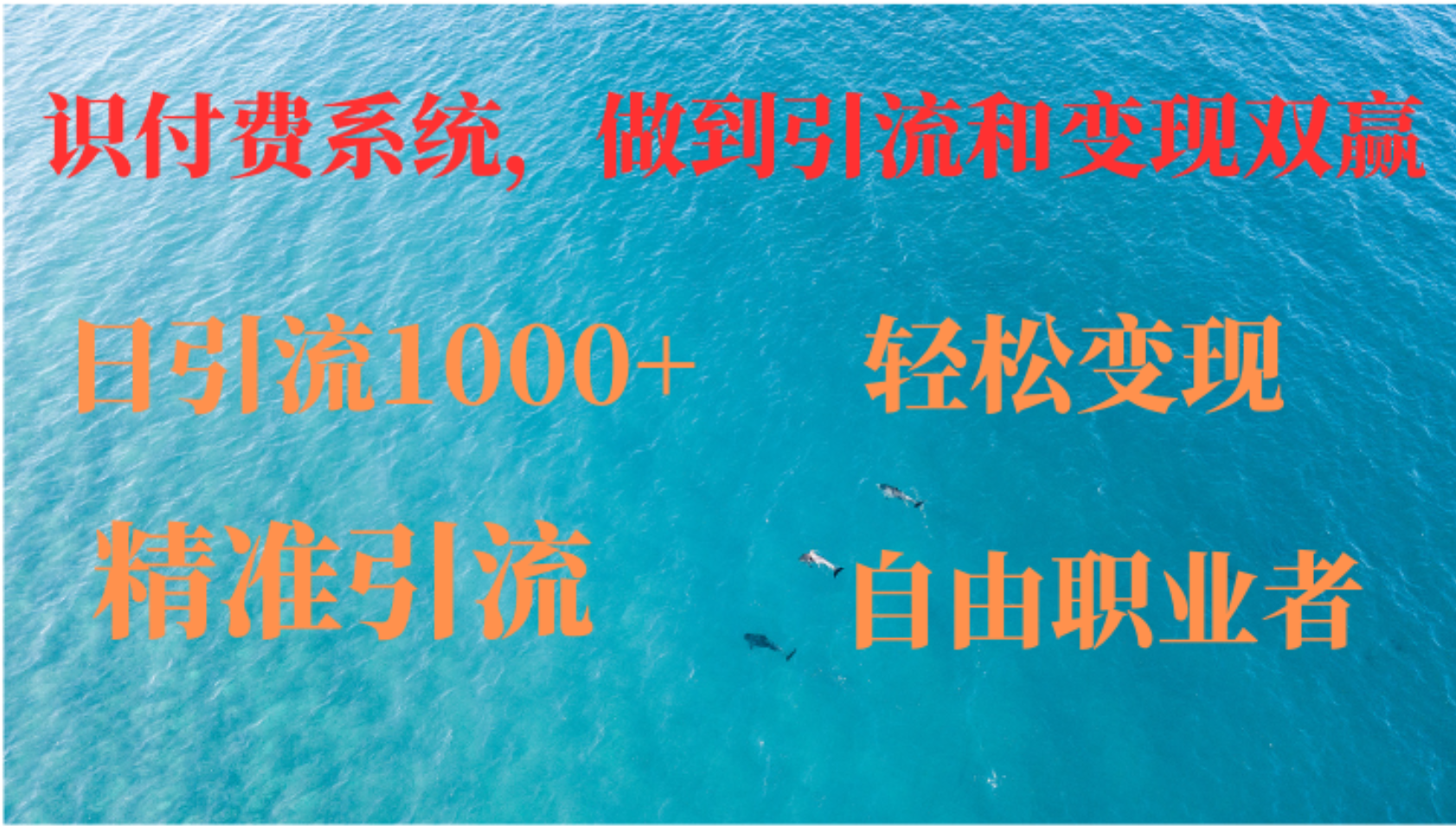 如何搭建自己的知识付费系统，做到引流和变现双赢-梦凌网创