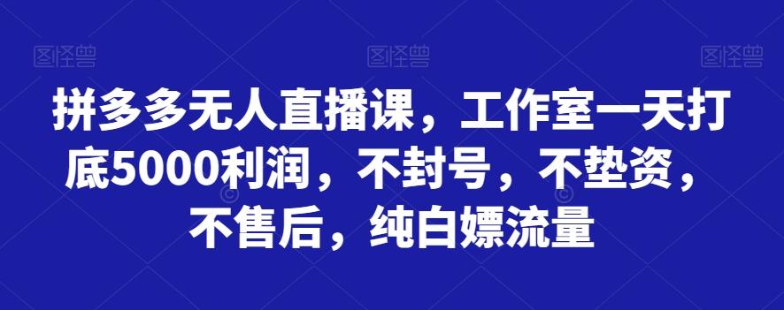 拼多多无人直播课，工作室一天打底5000利润，不封号，不垫资，不售后，纯白嫖流量-梦凌网创