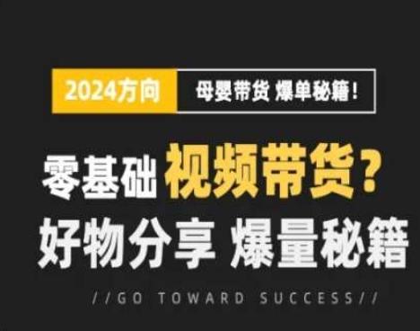 短视频母婴赛道实操流量训练营，零基础视频带货，好物分享，爆量秘籍-梦凌网创