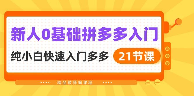 新人0基础拼多多入门，​纯小白快速入门多多(21节课-梦凌网创
