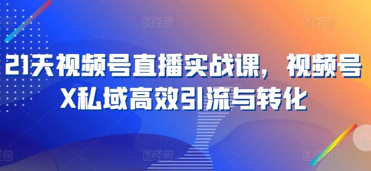 21天视频号直播实战课，视频号X私域高效引流与转化-梦凌网创