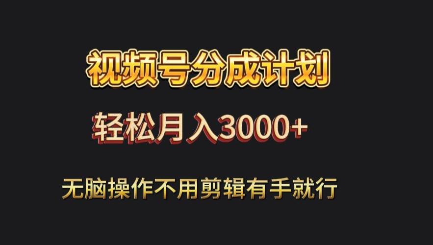 视频号流量分成，不用剪辑，有手就行，轻松月入2000+-梦凌网创