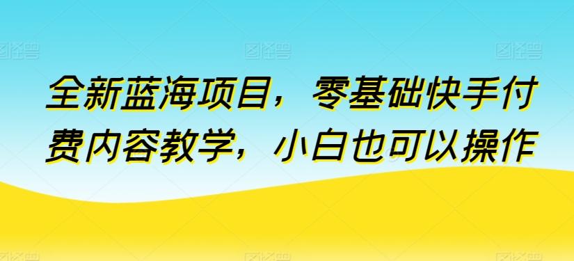 全新蓝海项目，零基础快手付费内容教学，小白也可以操作【揭秘】-梦凌网创