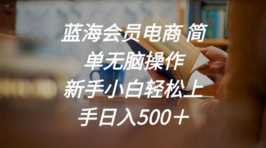 蓝海会员电商 简单无脑操作 新手小白轻松上手日入500＋-梦凌网创