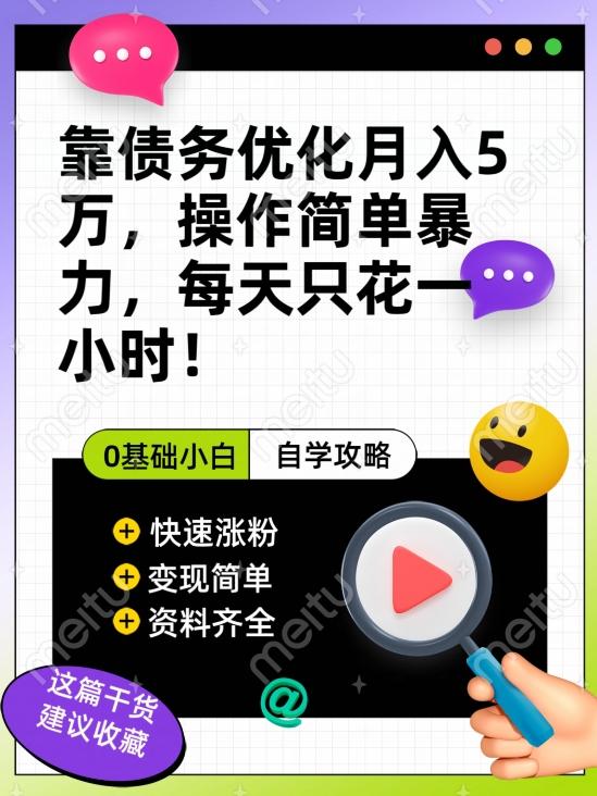 靠债务优化月入五万，每天只要花两个小时，多种方式轻松变现【揭秘】-梦凌网创