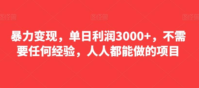 暴力变现，单日利润3000+，不需要任何经验，人人都能做的项目-梦凌网创