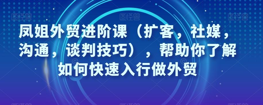 凤姐外贸进阶课（扩客，社媒，沟通，谈判技巧），帮助你了解如何快速入行做外贸-梦凌网创