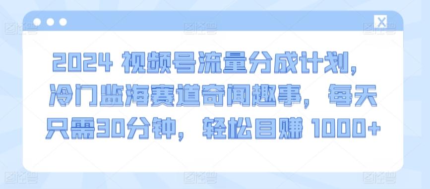 2024视频号流量分成计划，冷门监海赛道奇闻趣事，每天只需30分钟，轻松目赚 1000+【揭秘】-梦凌网创