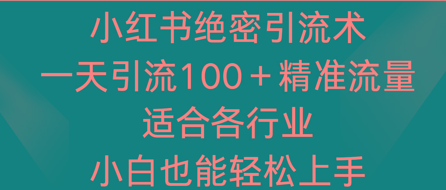小红书绝密引流术，一天引流100＋精准流量，适合各个行业，小白也能轻松上手-梦凌网创