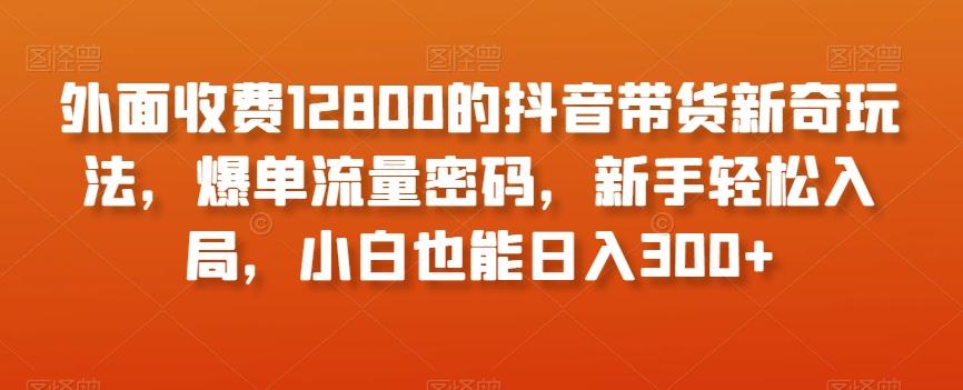 外面收费12800的抖音带货新奇玩法，爆单流量密码，新手轻松入局，小白也能日入300+【揭秘】-梦凌网创