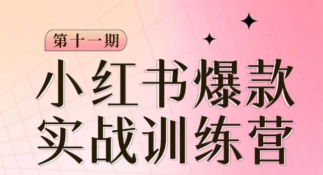 小红书博主爆款训练营第11期，手把手教你从0-1做小红书，从定位到起号到变现-梦凌网创