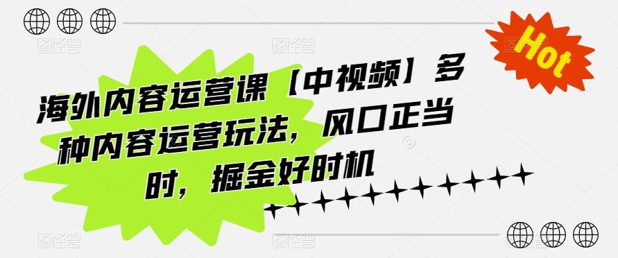 海外内容运营课【中视频】多种内容运营玩法，风口正当时，掘金好时机-梦凌网创