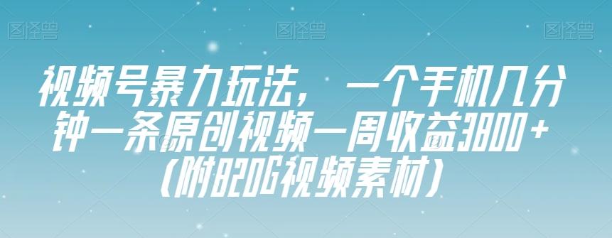 视频号暴力玩法，一个手机几分钟一条原创视频一周收益3800+（附820G视频素材）-梦凌网创