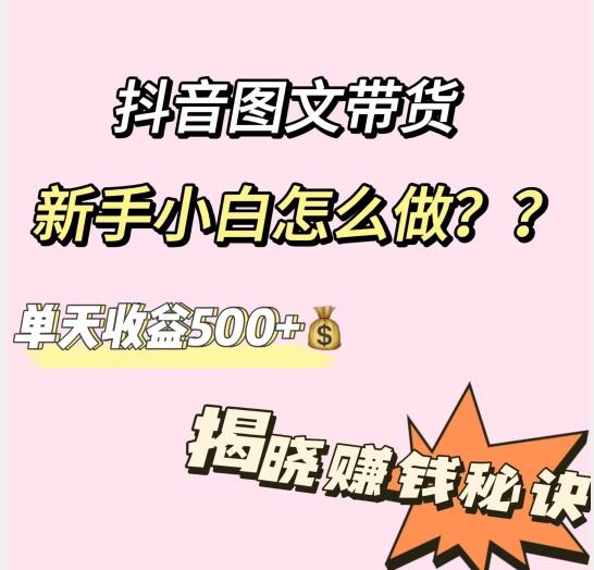 抖音图文带货，新手小白怎么做？单天收益500+【揭秘赚钱秘诀】-梦凌网创