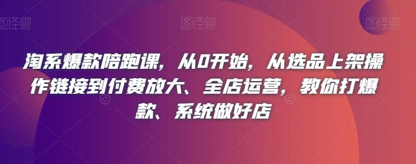 淘系爆款陪跑课，从0开始，从选品上架操作链接到付费放大、全店运营，教你打爆款、系统做好店-梦凌网创