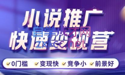 洲洲老师·小说推广快速变现营-梦凌网创