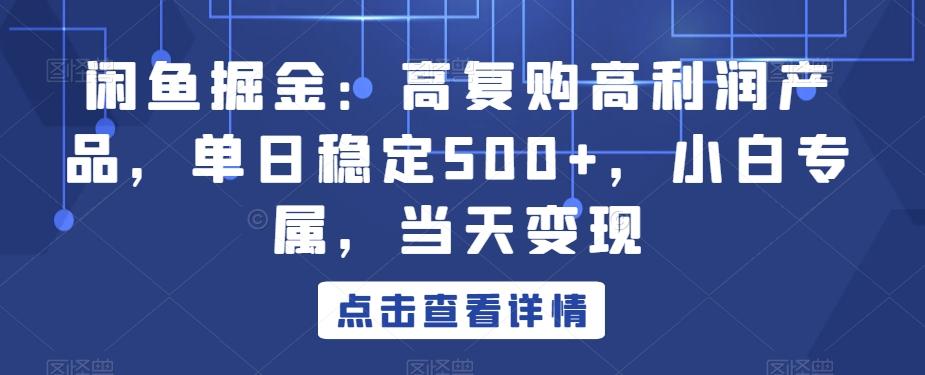 闲鱼掘金：高复购高利润产品，单日稳定500+，小白专属，当天变现-梦凌网创