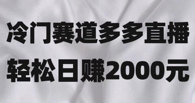 冷门赛道拼多多直播，简单念稿子，日收益2000＋【揭秘】-梦凌网创