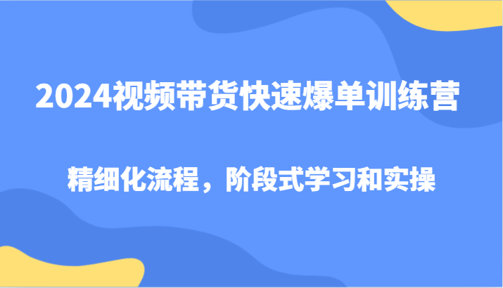 2024视频带货快速爆单训练营，精细化流程，阶段式学习和实操-梦凌网创