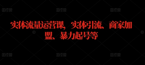 实体流量运营课，实体引流、商家加盟、暴力起号等-梦凌网创