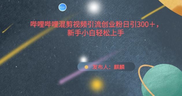 哔哩哔哩混剪视频引流创业粉日引300+，新手小白轻松上手【揭秘】-梦凌网创