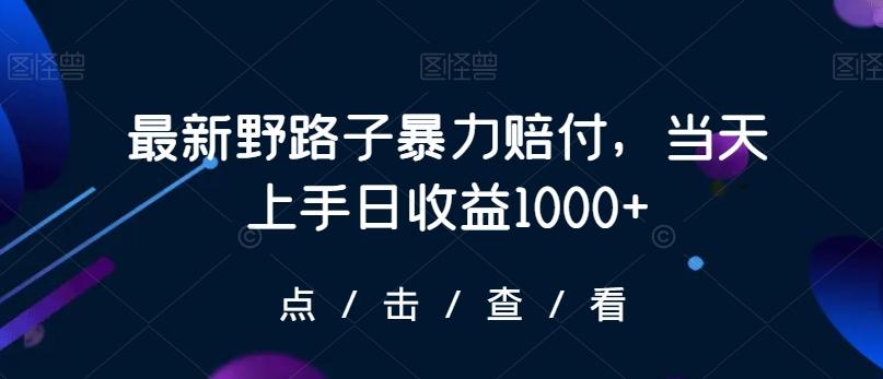 最新野路子暴力赔付，当天上手日收益1000+【仅揭秘】-梦凌网创