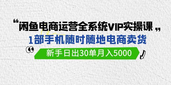 (9547期)闲鱼电商运营全系统VIP实战课，1部手机随时随地卖货，新手日出30单月入5000-梦凌网创