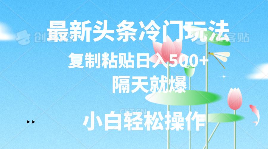 最新头条冷门玩法，隔天就爆，复制粘贴日入500+-梦凌网创