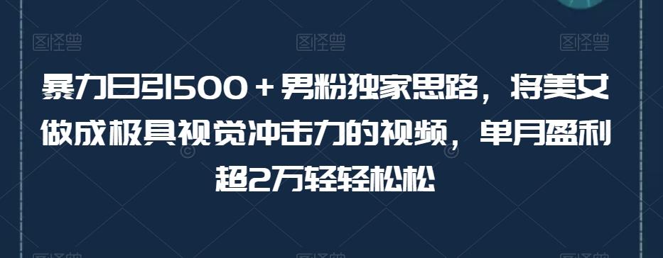 暴力日引500＋男粉独家思路，将美女做成极具视觉冲击力的视频，单月盈利超2万轻轻松松-梦凌网创