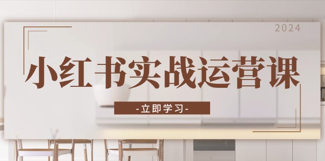 小红书实战运营课：从开通店铺到直播话术，打造爆款笔记与高效直播-梦凌网创